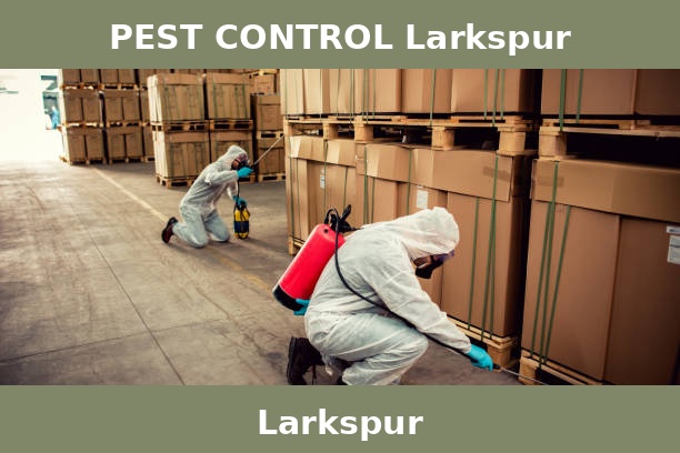 PEST CONTROL Larkspur